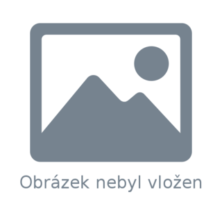 Vyplacení exekuce v Ostravě Vyplacení exekuce v Ostravě